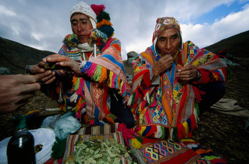 Hoja de los Andes